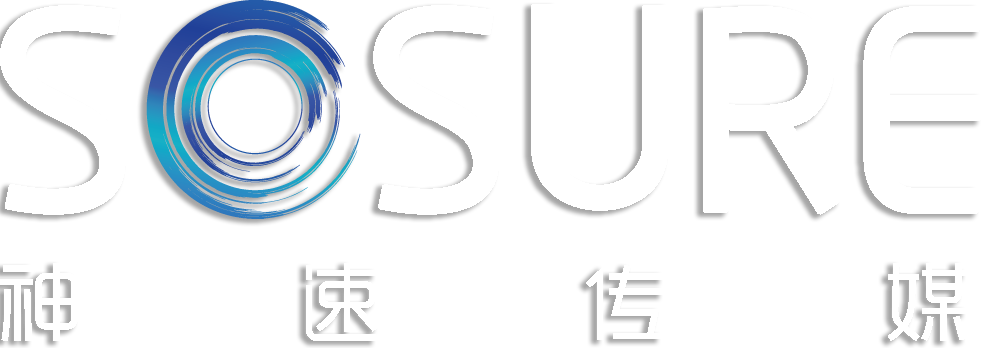 ˾LOGO
